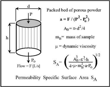 Specific Surface Area of Permeability